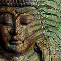 Convergence of Thought