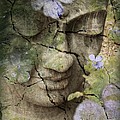 Inner Tranquility