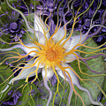 Bali Dream Flower
