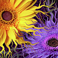Daisy Yin Daisy Yang